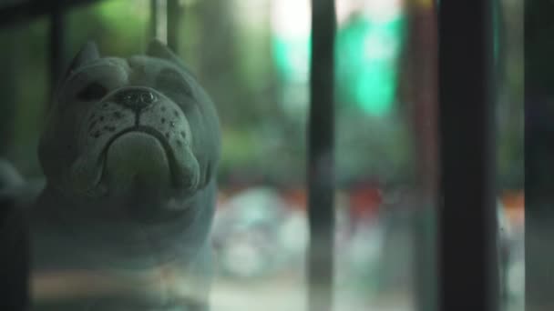 French Bulldog Statuette on a Barbershop and Tattoo Studio Window — Stockvideo