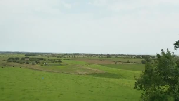 Pemandangan udara Pemandangan terlihat di atas padang rumput yang luas di bawah langit berawan — Stok Video