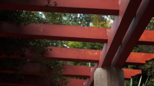 Vista en ángulo bajo del techo de un sendero de pérgola en un parque — Vídeo de stock