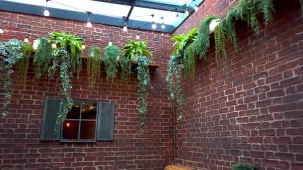 Plants hanging from the brick walls of a vegan restaurant with a glass ceiling — Stock Video