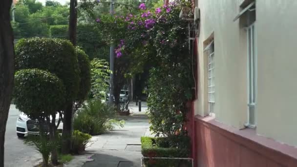 Gehweg aus einem Viertel namens Coyoacan in Mexiko-Stadt — Stockvideo