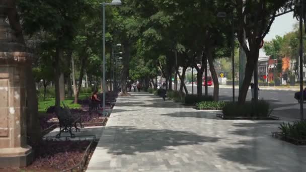 The Sidewalk of the Alameda Central Public Park — Αρχείο Βίντεο