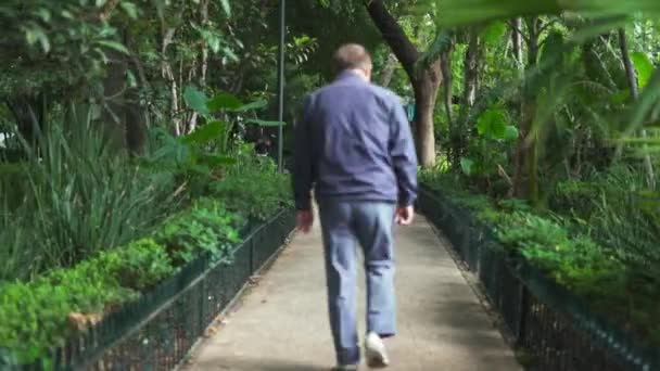 Man Walking on a Path Surrounded by Trees From a Park — Wideo stockowe