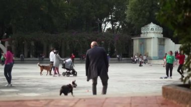 Park, Aile ve Arkadaşlarıyla Eğlenen İnsanlarla dolu