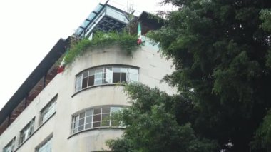 Çatısı Bitkilerle dolu Gri Binanın Eğri Duvarındaki Pencereler