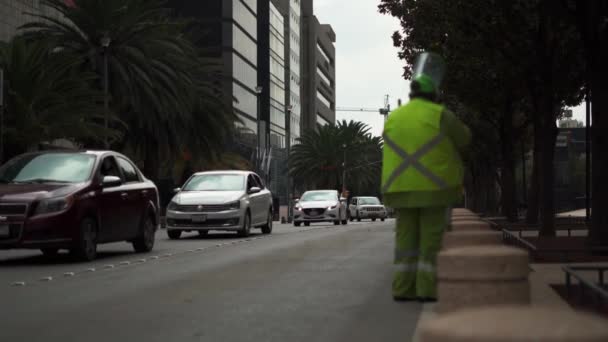 Traffic on a Street Surrounded by Trees From Downtown Mexico City — Stockvideo