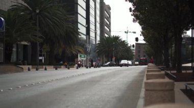 Şehir merkezinden gelen ağaçlarla çevrili bir caddede trafik var.