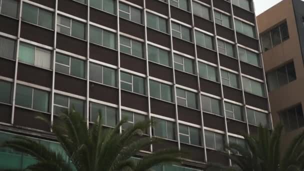 Twee kantoorgebouwen met een palmboom aan de onderkant en onder een bewolkte hemel — Stockvideo