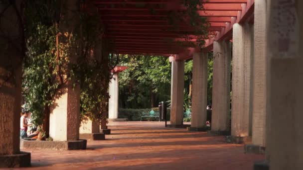 Pergola Path Surrounded by Columns in the Middle of a Park — Stock Video
