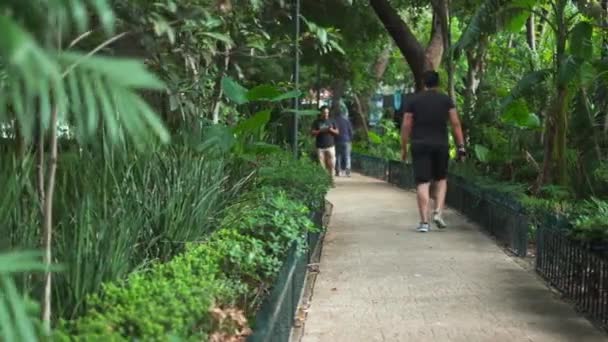 Pessoas caminhando em um caminho cercado por árvores de um parque — Vídeo de Stock