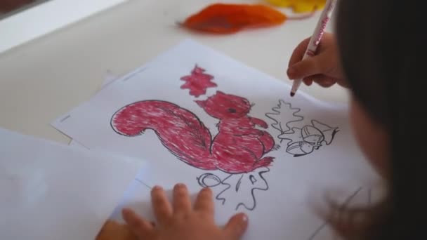 Little girl coloring a squirrel image on a paper sheet with a red marker — Αρχείο Βίντεο