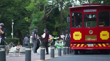 Red and Yellow Tram Parked on a Street From The Neighbourhood Called Coyoacan