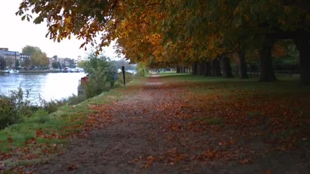 Landschaft Blick auf einen Pfad unter den Herbstbäumen und entlang eines Flusses — Stockvideo