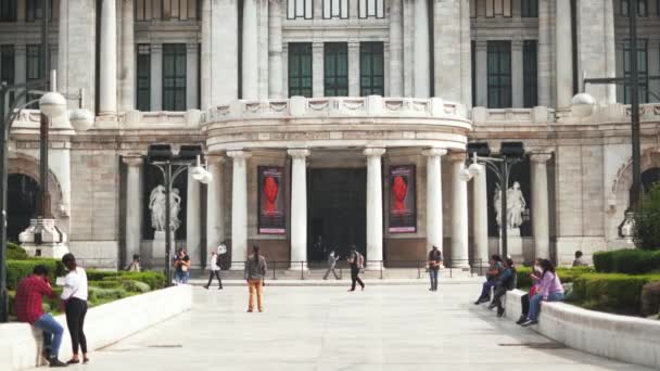 Frente al Palacio de Bellas Artes y sus Jardines — Vídeo de stock