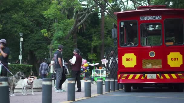 Tram rouge et jaune garé dans une rue du quartier appelé Coyoacan — Video