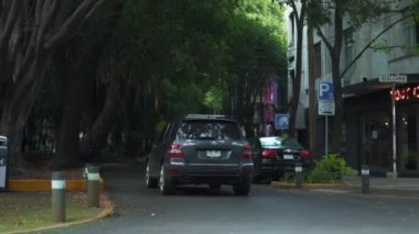 Mexico City 'nin bir sokak köşesindeki çikolata dükkanı Ağaçlar ve Arabalarla çevrili