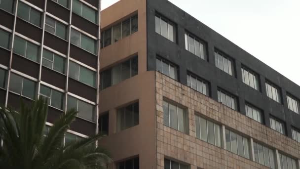 Två kontorsbyggnader med en palm i botten och under en molnig himmel — Stockvideo