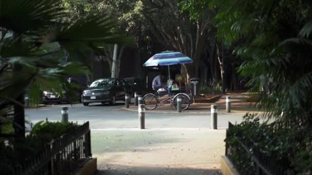 Sendero Rodeado de Árboles y Plantas que Conduce a una Calle — Vídeo de stock