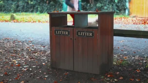 Two litter bins surrounded by autumn leaves and people passing by behind them — Stock Video