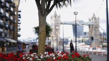 Flowers and a Small Tree with the Tower Bridge and a Cityscape as Background