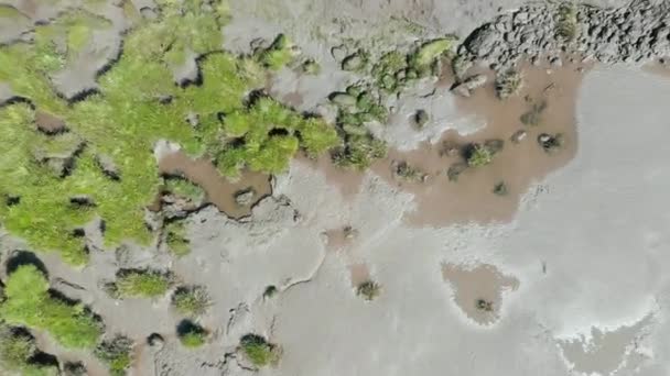 Uitzicht vanuit de lucht over het natte zand en de algen van de Nith — Stockvideo