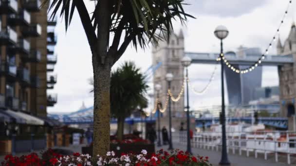 Flores y un pequeño árbol en la calle con vistas al Puente de la Torre — Vídeos de Stock