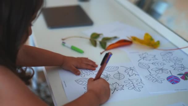 Pequena menina colorir diferentes tipos de folhas em uma folha de papel com uma caneta — Vídeo de Stock