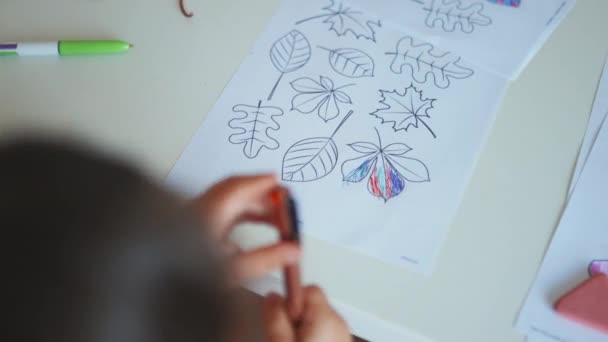Kleines Mädchen färbt mit einem Stift verschiedene Arten von Blättern auf ein Blatt Papier — Stockvideo