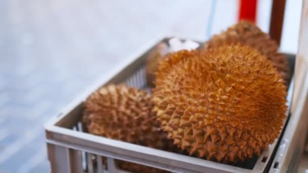 Spikey és sárga gyümölcsök nevű durian egy kosárban az utcán — Stock videók