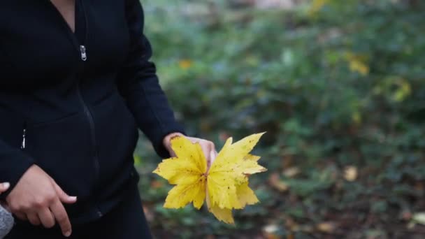 Mujer vestida de negro en un bosque deja caer algunas hojas amarillas secas en el suelo — Vídeos de Stock