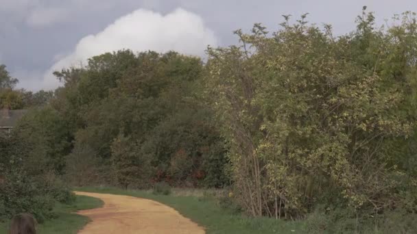 Woman and her little daughter jogging on a yellow dirt path surrounded by trees — Wideo stockowe