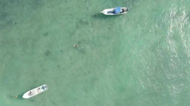 Karayipler 'in Aqua Blue Water' ında bir yüzücünün izini sürüyorum.