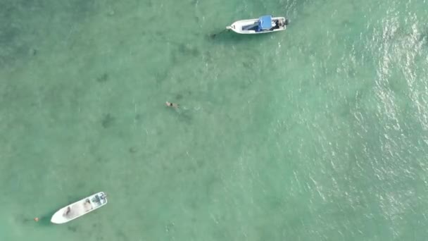 Egy úszó nyomában az Aqua Blue Water of the Caribbean - Aerial Drone Shot — Stock videók