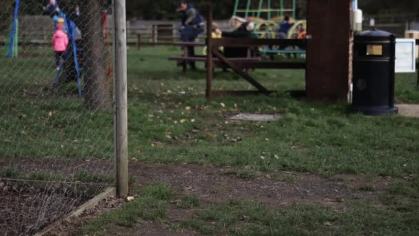 Дети вдалеке веселятся на детской площадке — стоковое видео