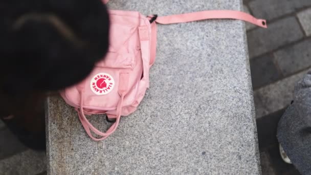 Woman packing doll inside a pink backpack on a concrete bench — Stock Video