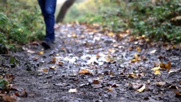 Homme marchant sur un chemin boueux en évitant les flaques — Video