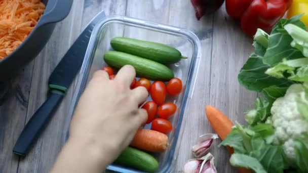 플라스틱 용기에서 야채를 담은 토마토를 수확하는 암컷 손 — 비디오