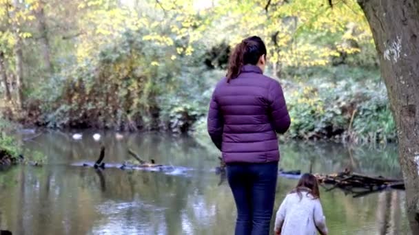 호기심많은 어미와 딸은 가을 숲 속에서 강 근처를 탐험 한다 — 비디오