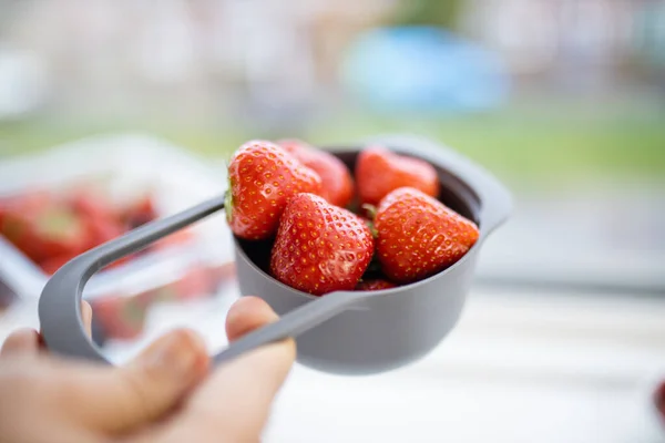 Taza medidora femenina llena de fresas frescas —  Fotos de Stock