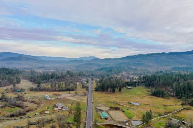 Bulutlu bir gökyüzünün altında ve uzaktaki dağlarla güzel bir orman.