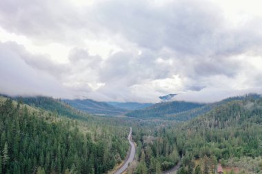 Bulutlu bir gökyüzünün altında ve uzaktaki dağlarla güzel bir orman.