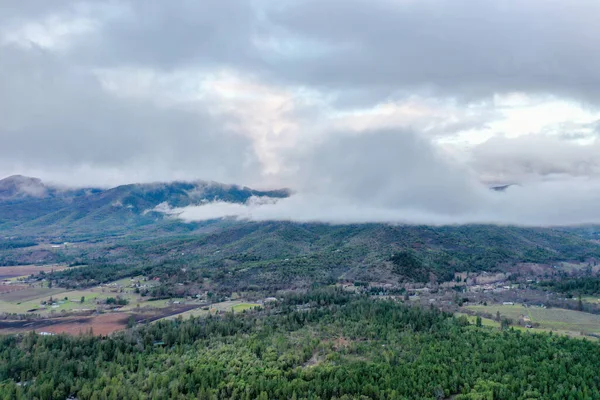 Bela floresta sob um céu nublado e com montanhas à distância — Fotografia de Stock