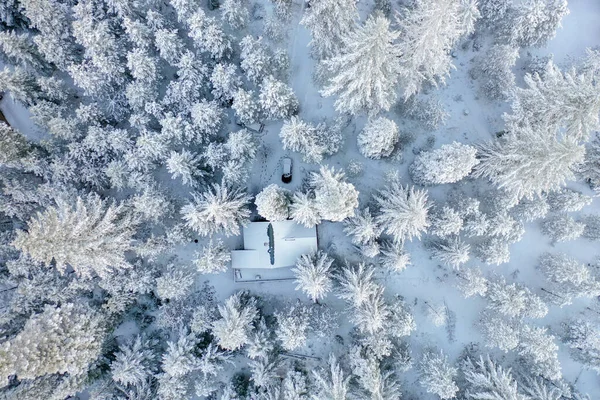 Cabane au milieu d'une forêt enneigée — Photo