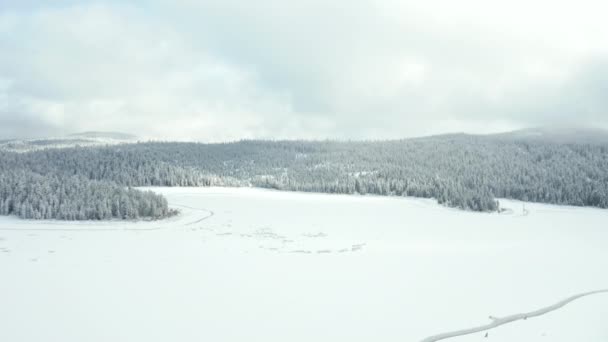 Vista impresionante aérea de 4k que vuela sobre un lago congelado rodeado por un bosque cubierto de nieve — Vídeo de stock