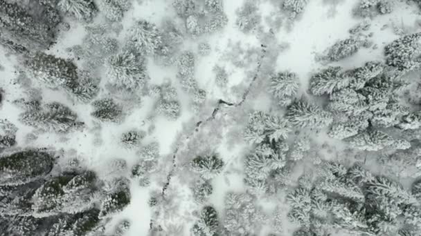 4k vista aérea descendo sobre pequeno córrego nevado cercado por árvores em uma floresta — Vídeo de Stock