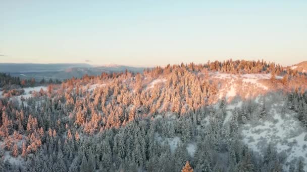 4k Aerial Shot Repülő el egy napfelkelte világította Hillside borította havas fák — Stock videók