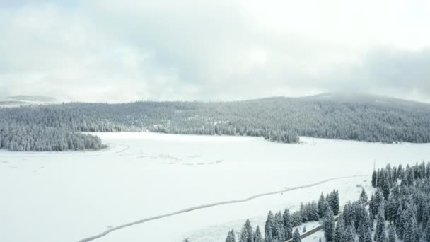 Vista aérea 4k sobrevoando árvores e lago congelado cercado por floresta nevada — Vídeo de Stock