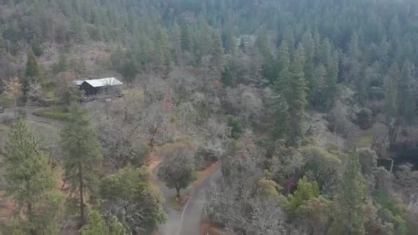 Volando sobre el bosque pasando por una cabaña en la colina rodeada de árboles en Oregon 4k aérea — Vídeo de stock