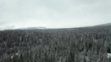 4k Hava Görüntüsü Şelale Dağları 'ndaki Kar Fırtınası Altında Geliyor