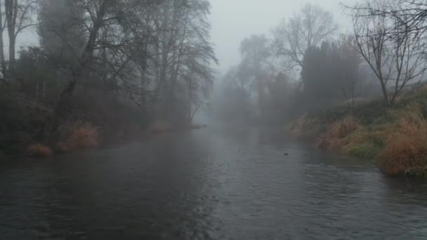 4k Strzał z powietrza Przenoszący się nad przerażającą rzeką otoczoną drzewami i gęstą mgłą — Wideo stockowe